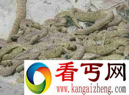 慎点！世界历史上最可怕的15种处死方式