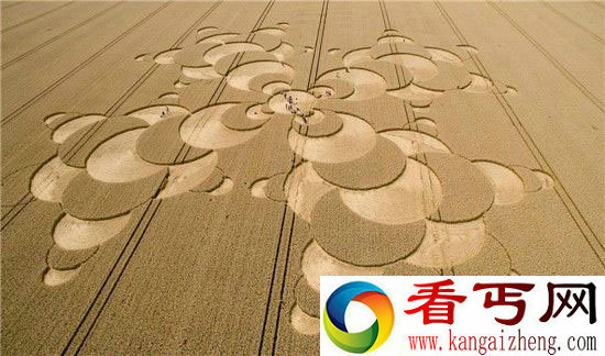 德国昨晚惊现新麦田怪圈!神秘怪圈再现
