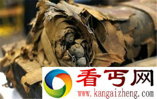 法国圣女死后百年身体不腐 不腐女尸如何形成?