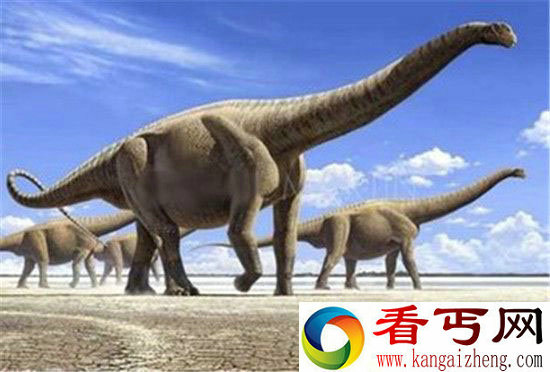 地球生命存在死亡周期?第六次灭绝已经逼近