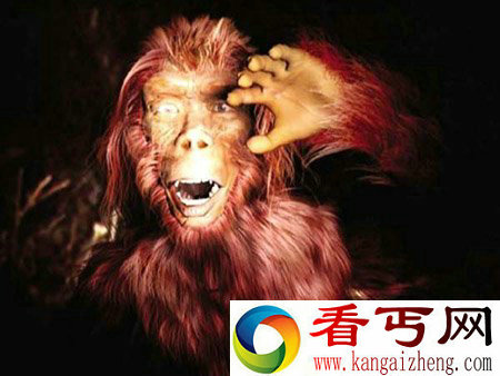 神龙架野人之谜