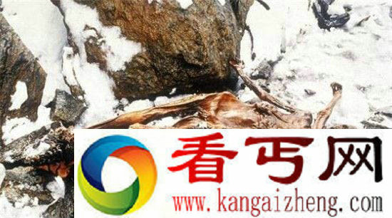 世界六大诅咒杀人事件 千年古尸虐杀考古人员