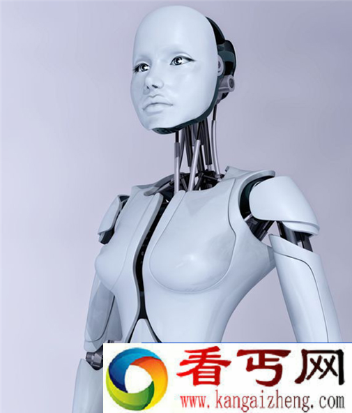 “机器人妓院”将诞生?2050年荷兰开业