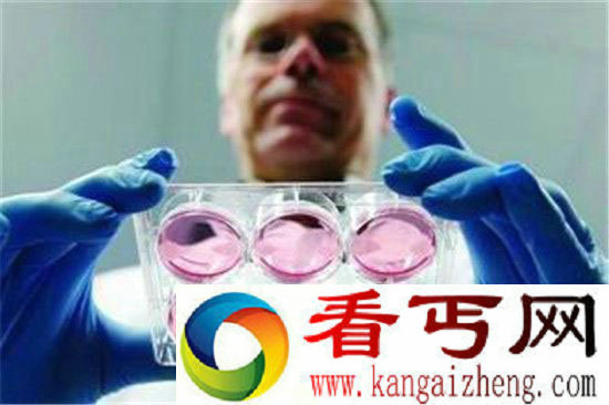 科学家预言未来人造肉将成为主流