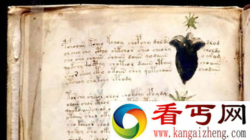 世界十大考古未解之谜 伏尼契手稿现神秘外星文字