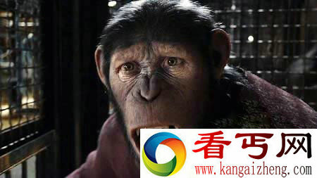 探秘神农架野人之谜闹剧真相震惊世界