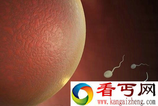 基因的游戏科学家实现人类胚胎基因改造