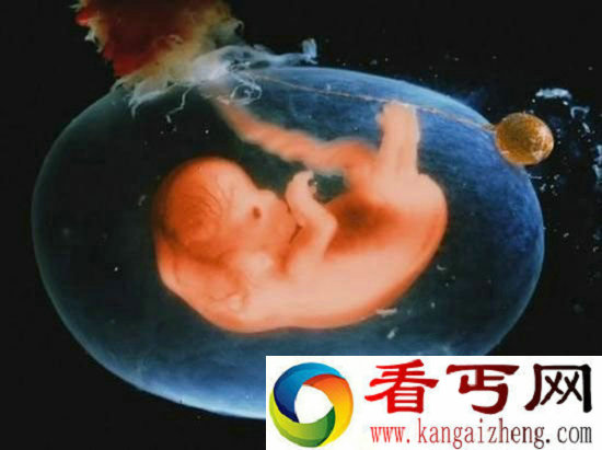 美国科学家慌了！中国修改人类胚胎基因研究成功