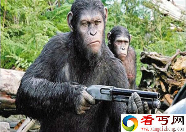 曾经地球至少有6个人种，如今只剩人类，其他人都哪去了？
