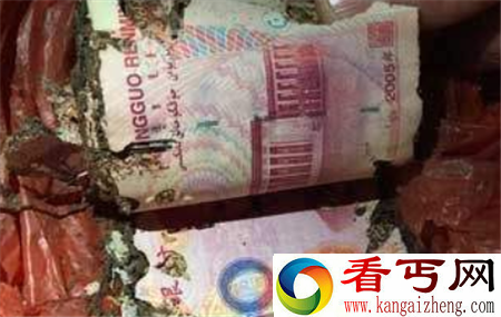 老汉将8万元现金藏地下，13年后拿出使用，揭开泥土后让人泪奔(4)