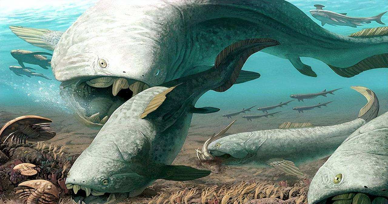 人类的祖先是条鱼?科学家回应