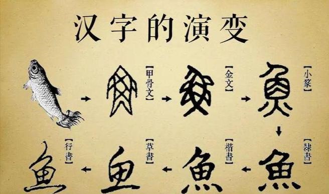 汉字的发展图片中国汉字的历史共16个发展阶段