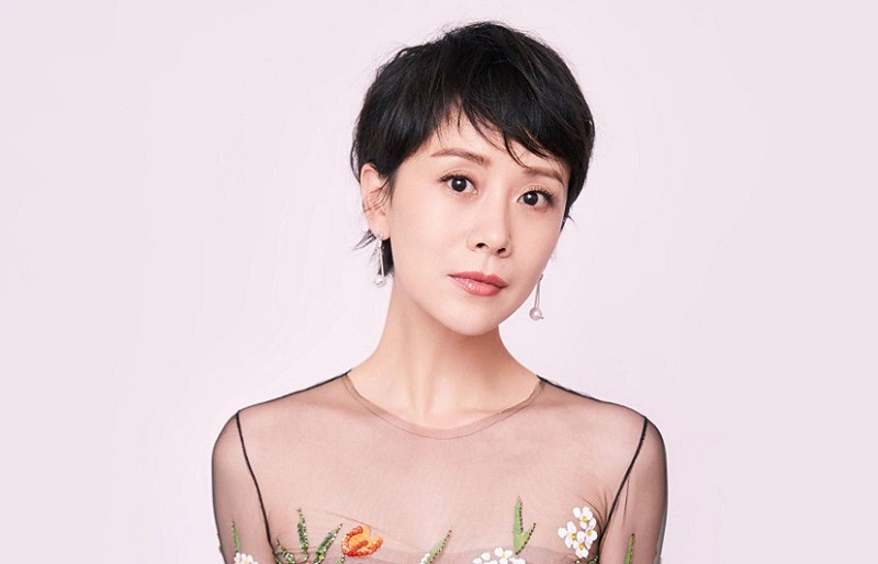 海清谈女演员困境