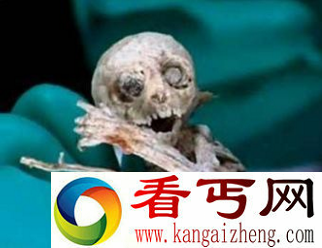 墨西哥外星人