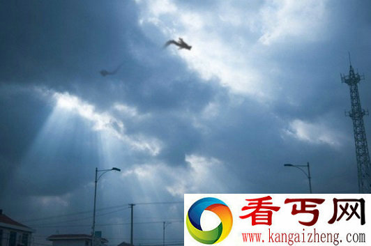 天上坠龙