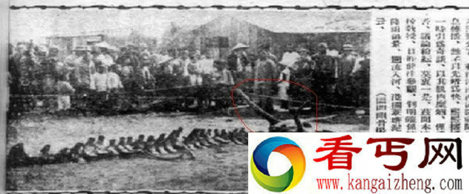 山东营口坠龙的事件