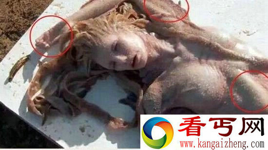 澳大利亚发现美人鱼尸体 组图