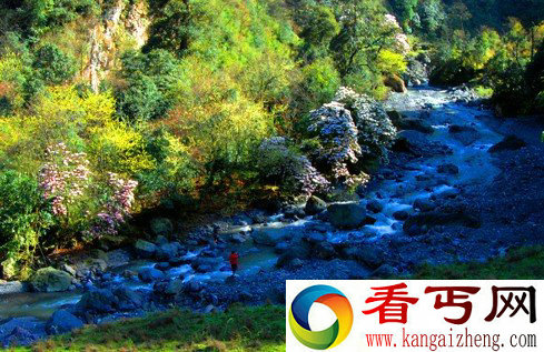 3名驴友探险黑竹沟失联19天 黑竹沟六大未解之谜