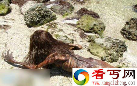 震惊!黑鳞鲛人活着的样子