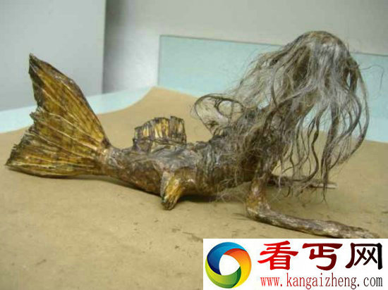 震惊!黑鳞鲛人活着的样子