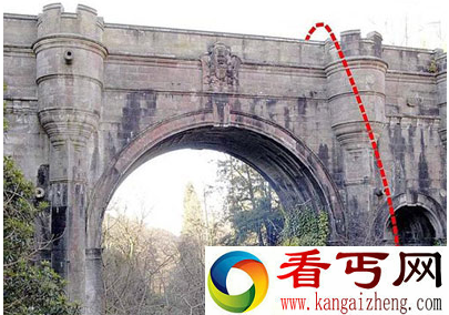 600只狗跳桥自杀