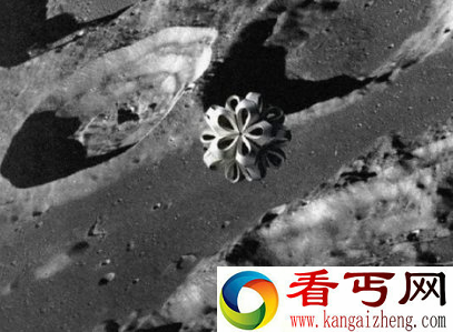 震惊世界的ufo图片