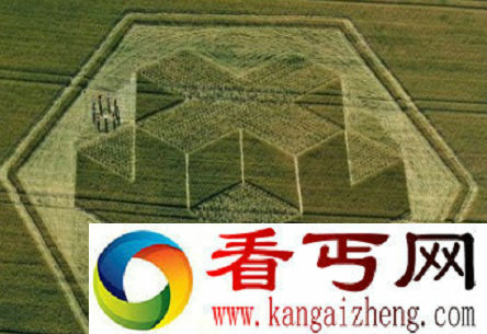 ufo麦圈