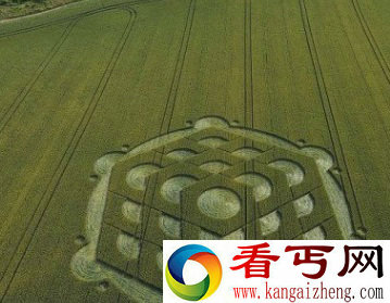 麦地里面三维图形