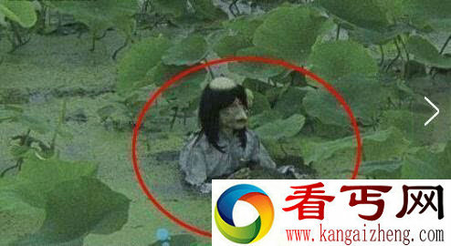 四川惊现诡异河童