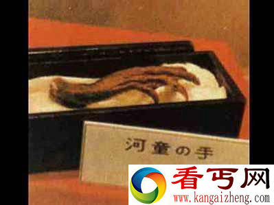 四川惊现诡异河童
