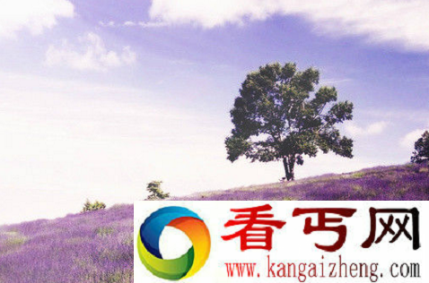 世界上最大的花海