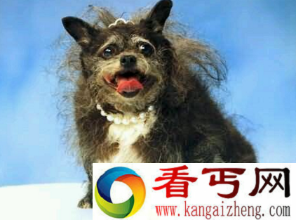 麦肯奇