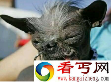 艾尔伍德