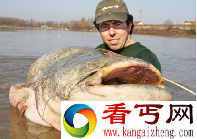 世界上钓到最大的淡水鱼