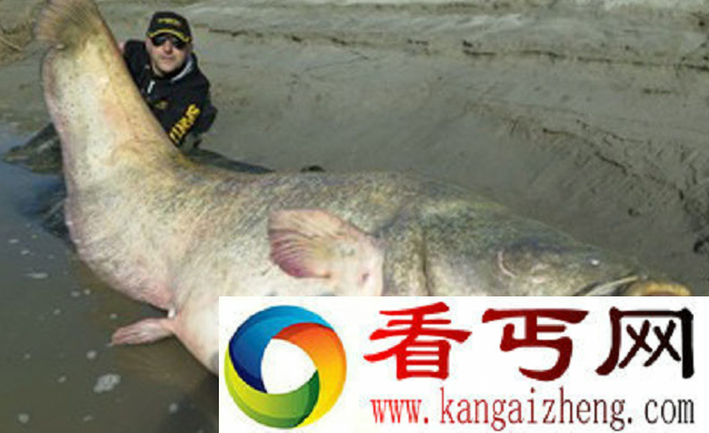 世界上钓到最大的淡水鱼