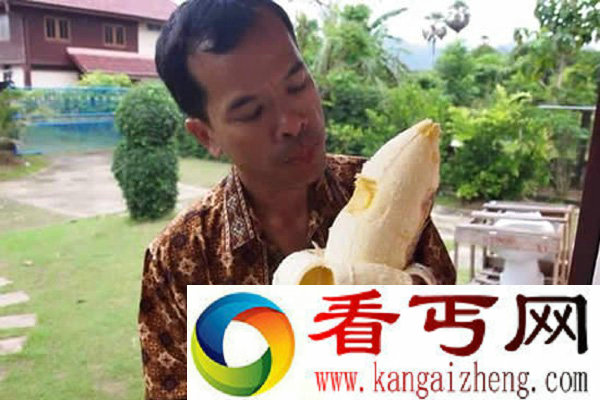 世界上最大的香蕉长近30厘米