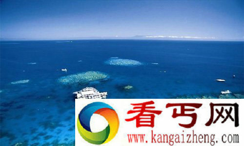 得益于珊瑚海独特生态环境的梦幻景观