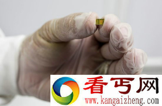 以色列公司推“世界最小圣经”仅有芯片大小（图）