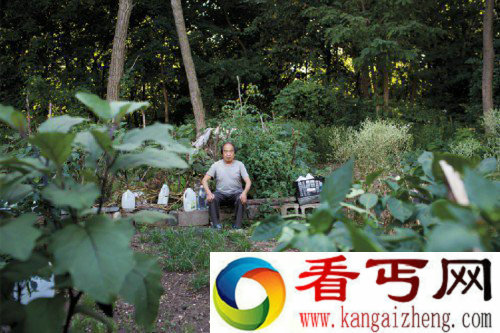 陪读家长在美国种菜