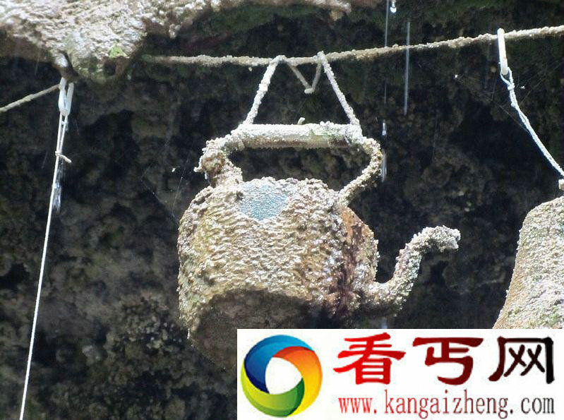 英国现神秘水井物品接触井水后石化变石头