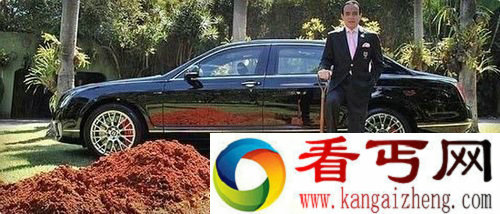 巴西富翁将价值45万美元的宾利车埋在自家花园。