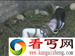 纣王与妲己的故事 虿盆之刑的恐怖