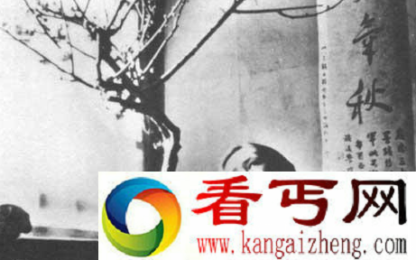 民国四大美女老照片 民国四大美女哪位最美