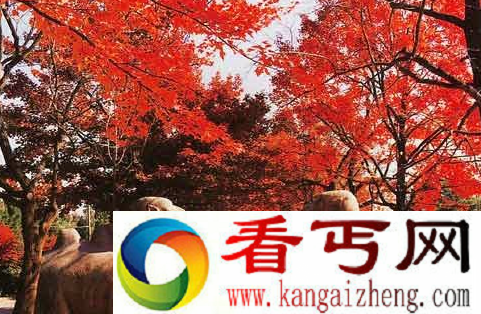 朱元璋皇陵之谜 朱元璋墓穴在哪里