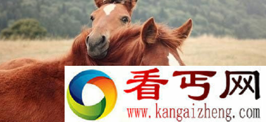 三国时期四大神马 赤兔出世谁与争锋