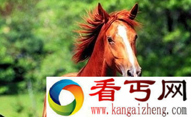 三国时期四大神马 赤兔出世谁与争锋