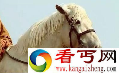 三国时期四大神马 赤兔出世谁与争锋