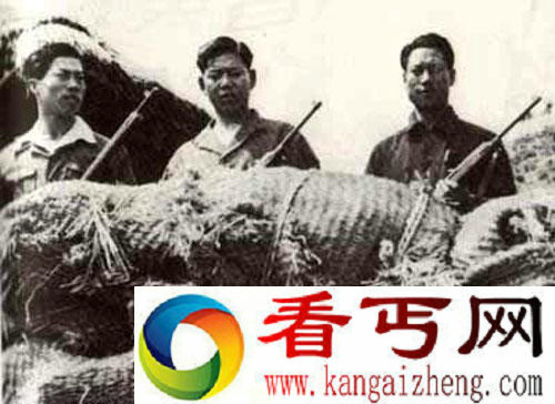 韩国252名精锐特工蒙冤37年成为历史的牺牲品