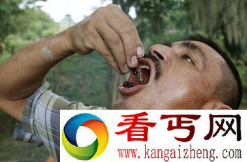 [图文]哥伦比亚男子用南美切叶蚁烹制食品