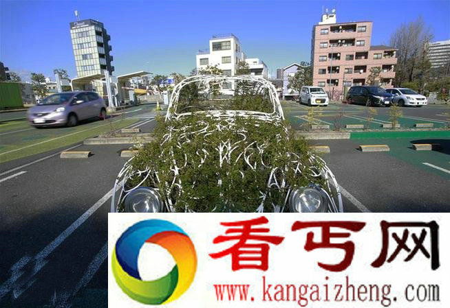街头绿色艺术 街头3d立体画图片